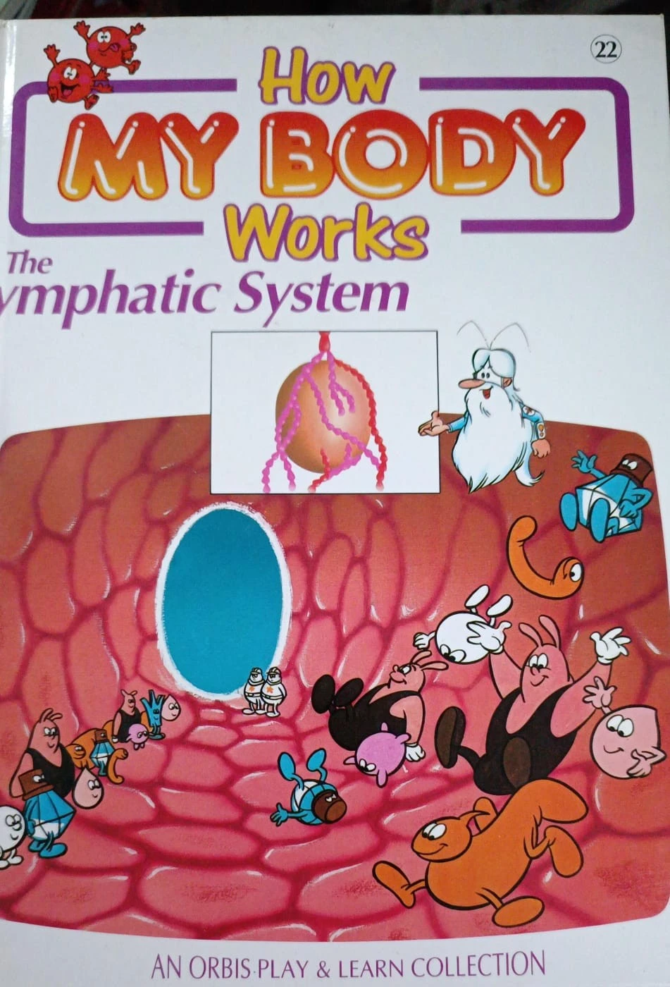 HOW MY BODY WORKS THE LYMPHATIC SYSTEM